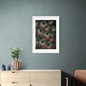East End Prints Peacock Feathers Print
